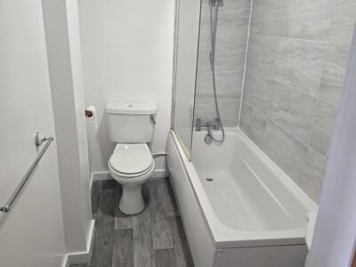 Picture 12